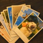 Polaroids Print